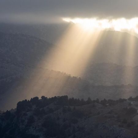 Villa Armi Episkopi  Bagian luar foto